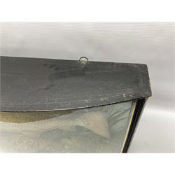 Taxidermy: Brown trout (Salmo trutta), skin mount set above a pebbled river bed with reeds and ferns, against blue painted back drop, enclosed within an ebonised bow-front display case, with 'Costa Beck June 8th 1920, Weight 3 3/4lbs',inscribed to the glass, H31cm, L62cm 