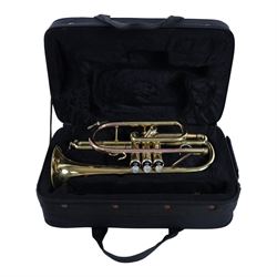 Sonata brass trumpet, with Denis Wick mouthpiece in a soft fitted carry case