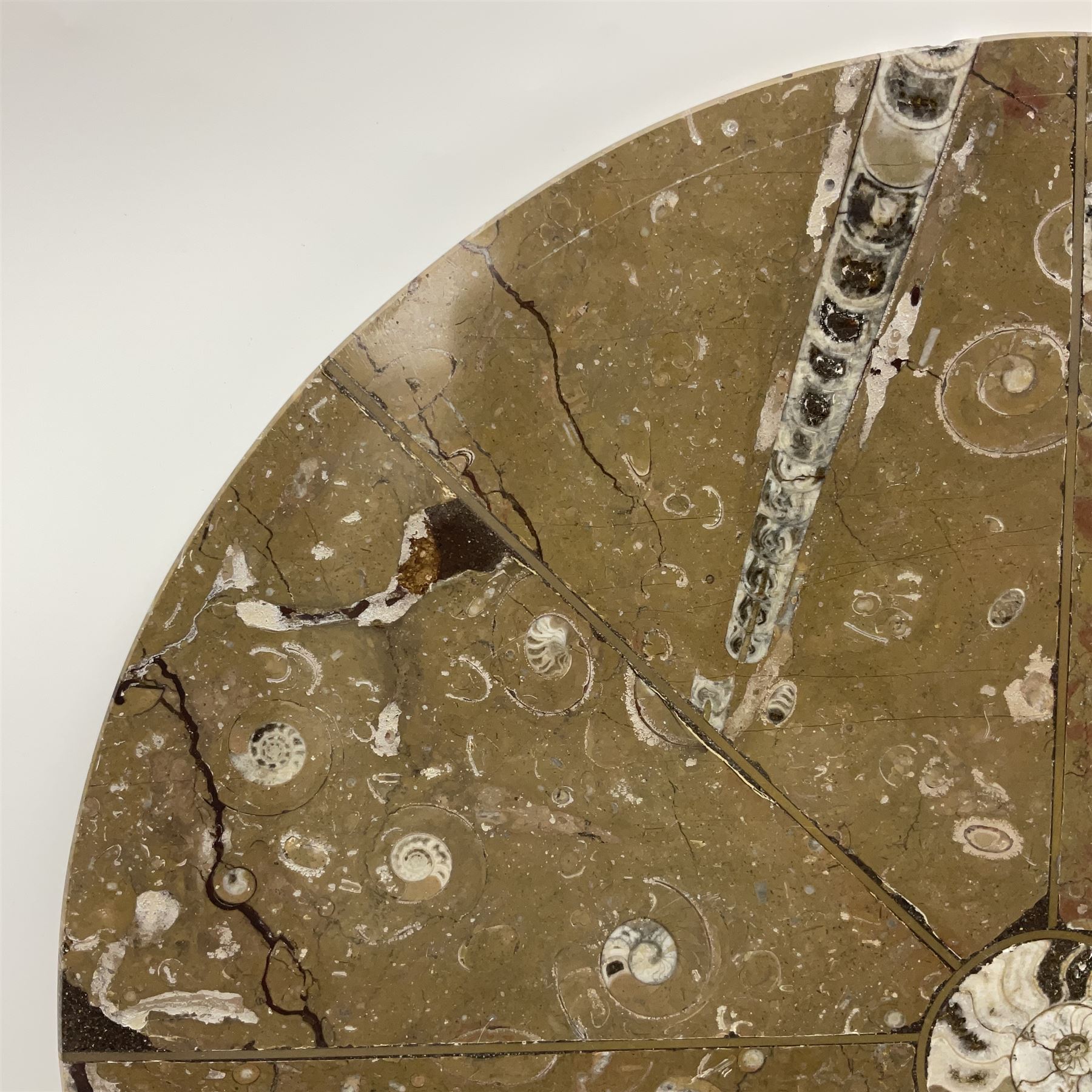 Circular limestone table top, with Orthoceras and Goniatite inclusions; age: Upper Devonian, location: Morocco, D45cm