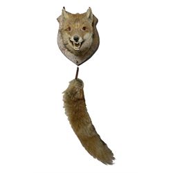 Taxidermy: Red fox mask (Vulpes vulpes),