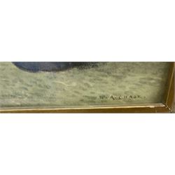 William Arthur Chase (British 1878-1944): Still Life of Anemones, watercolour signed 35cm x 25cm