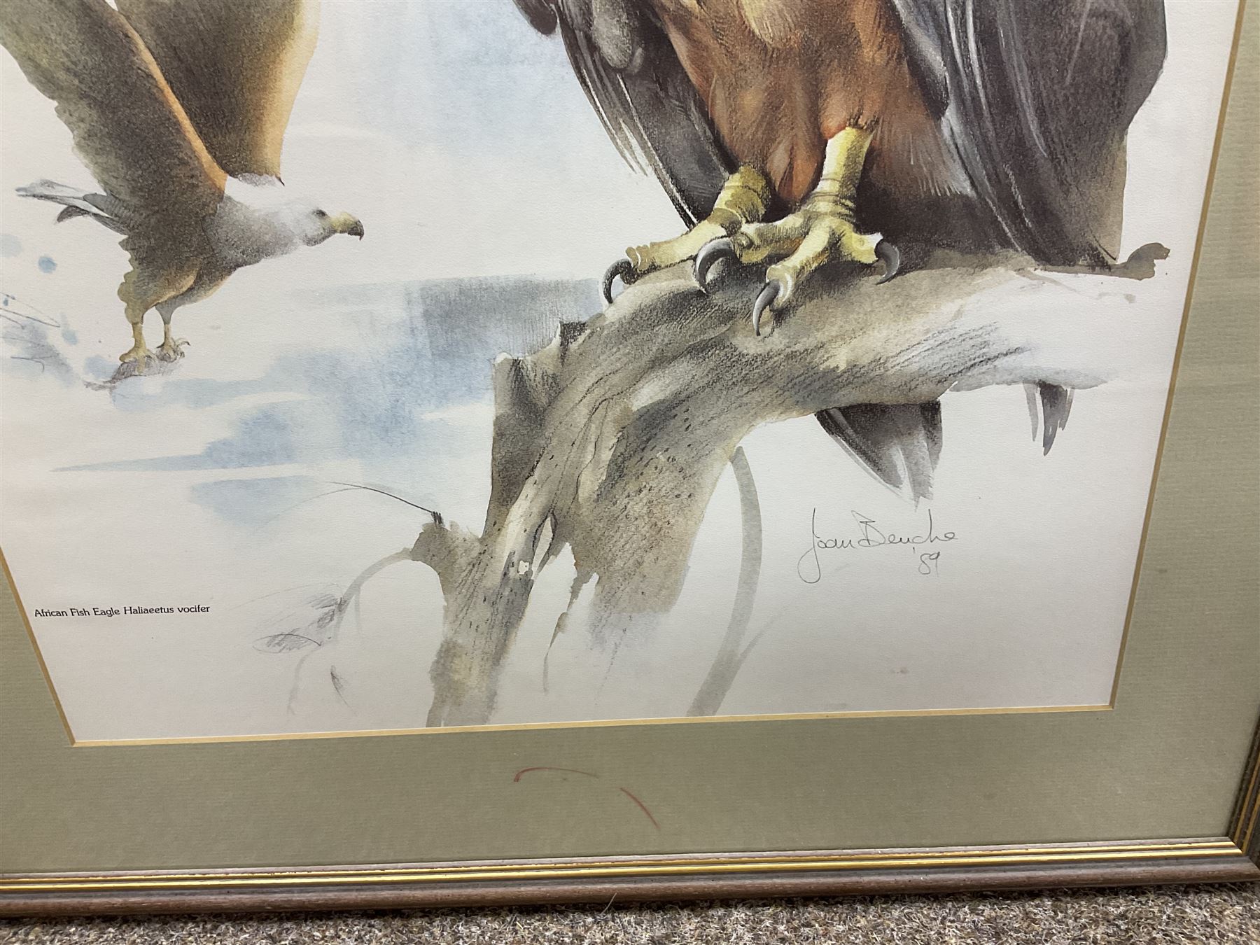 After Joan Beuche (South African 20th century) Eagles, set of six coloured prints (6)