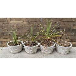 Set of four white painted cast stone circular planters