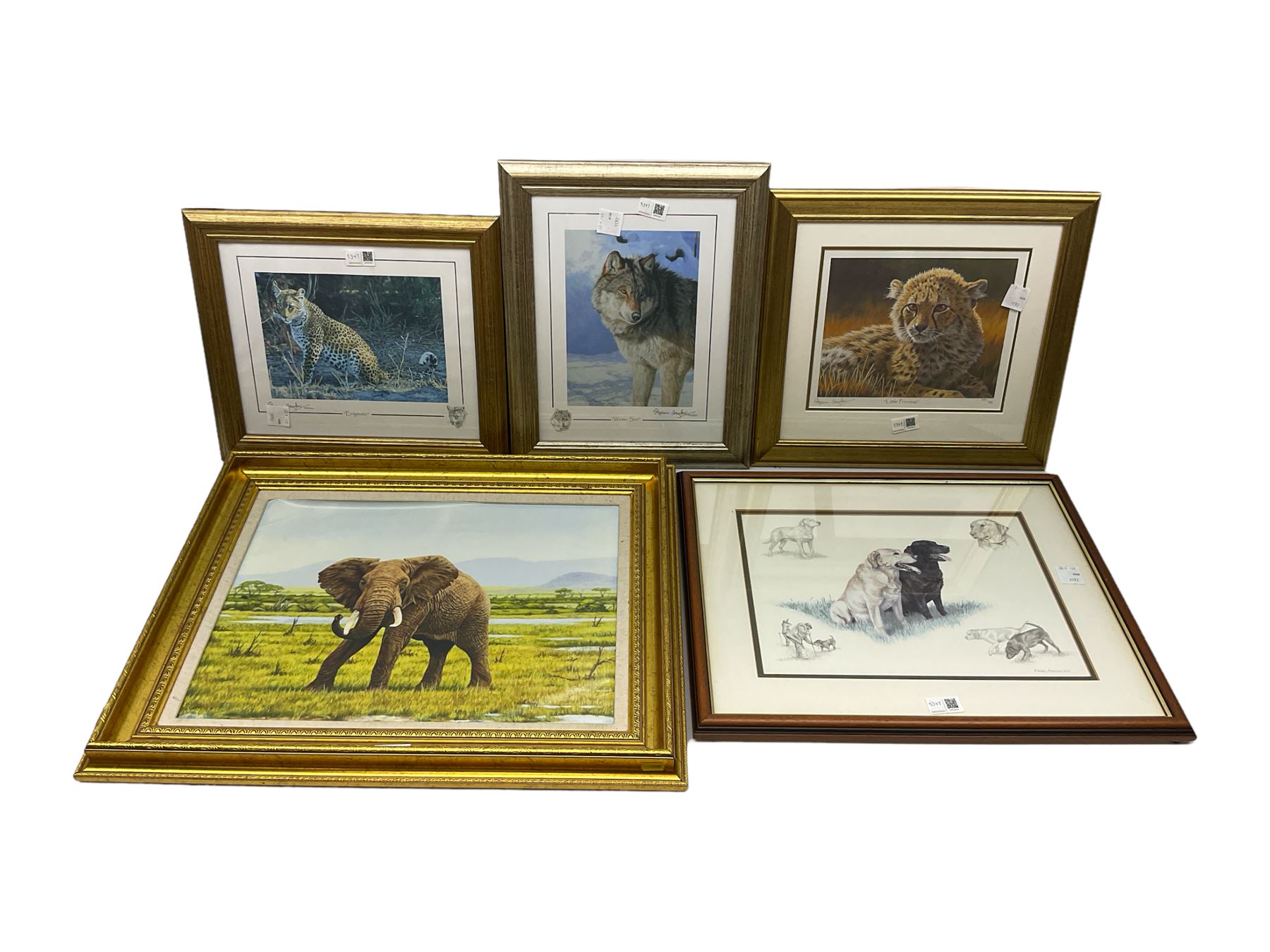 After Stephen Gayford (British 1954-): 'Little Princess' 'Enigmatic' and 'Winter Sun', set three limited edition colour prints signed in pencil together with a print on canvas of an elephant after the same artist and a print of labradors after Nigel Hemming max 36cm x 49cm (5)