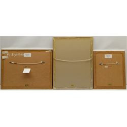 Madeleine Eyland (Belgian/British 1930-2021): 'Suffolk Coast', Marshy Landscape and 'Waterfall', three pastels signed, max 38cm x 26cm (3) 
Provenance: artist's studio collection. Marie-Madeleine Eyland (neé Legrain) was born in 1930 at Floriffoux, Belgium; she lived most of her life in Scarborough working as a nurse and an artist.