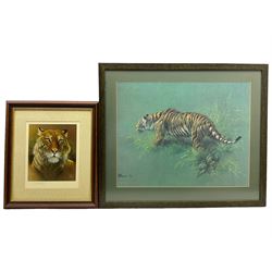 Alan M Hunt (British 1947-): 'Little Princes' - Tiger Cubs, limited edition print signed and numbered 274/450 in pencil 41cm x 56cm; Two Tigers, limited edition monochrome print signed and numbered 593/950 in pencil 20cm x 36cm; together with two further prints of tigers by other artists 23cm x 19cm and 42cm x 53cm (4)