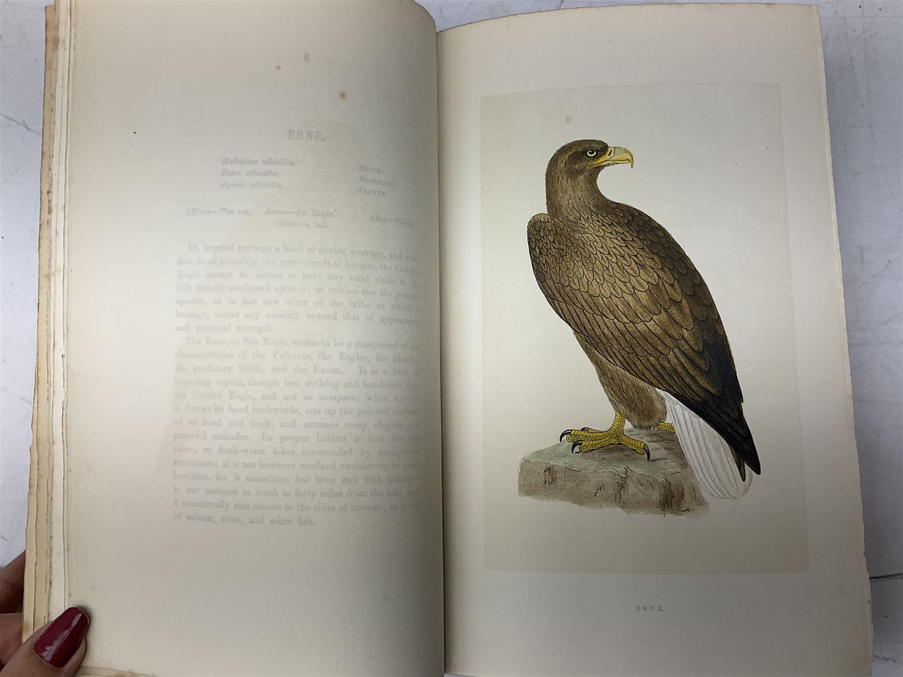 Morris, Rev Francis Orpen; A History of British Birds, six volume set. In original gilt embossed cloth, with approximately 358 hand coloured plates