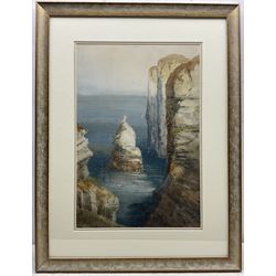 Frederick William Booty (British 1840-1924): Bempton Cliffs, watercolour signed and dated 1911, 53cm x 35cm 
Provencance: private collection, purchased David Duggleby Ltd 5th March 2012 Lot 63