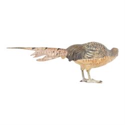 After Franz Bergman, 20th Century cold painted bronze figure of a pheasant, L15cm, H5cm