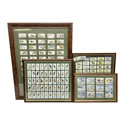 Four mounted and framed sets of cigarette cards comprising Players Game Birds & Wild Fowl; Ogdens British Birds & Their Eggs; Wills Dogs; and reproduction Players Peter Scott's Wildfowl; various frames (4)