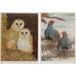Robert E Fuller (British 1972-): 'Owls Snuggled Up' and 'Greys on Winter Stubble', two limited edition colour prints signed and numbered in pencil 32cm x 24cm and 34cm x 24cm (2)