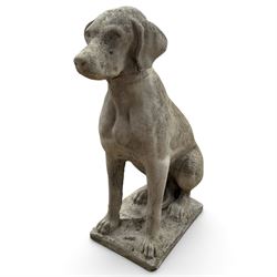 Weathered cast stone garden statue modelled as a seated pointer dog wearing a collar