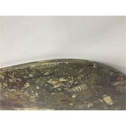 Oval table top, with Orthoceras and Goniatite inclusions; age: Upper Devonian, location: Morocco, L90cm D50cm