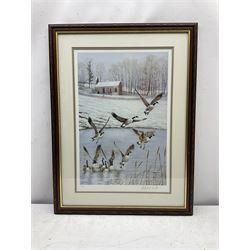 Robert E Fuller (British 1972-): Winter Geese in Flight, limited edition colour print signed and numbered 311/850 in pencil 45cm x 30cm