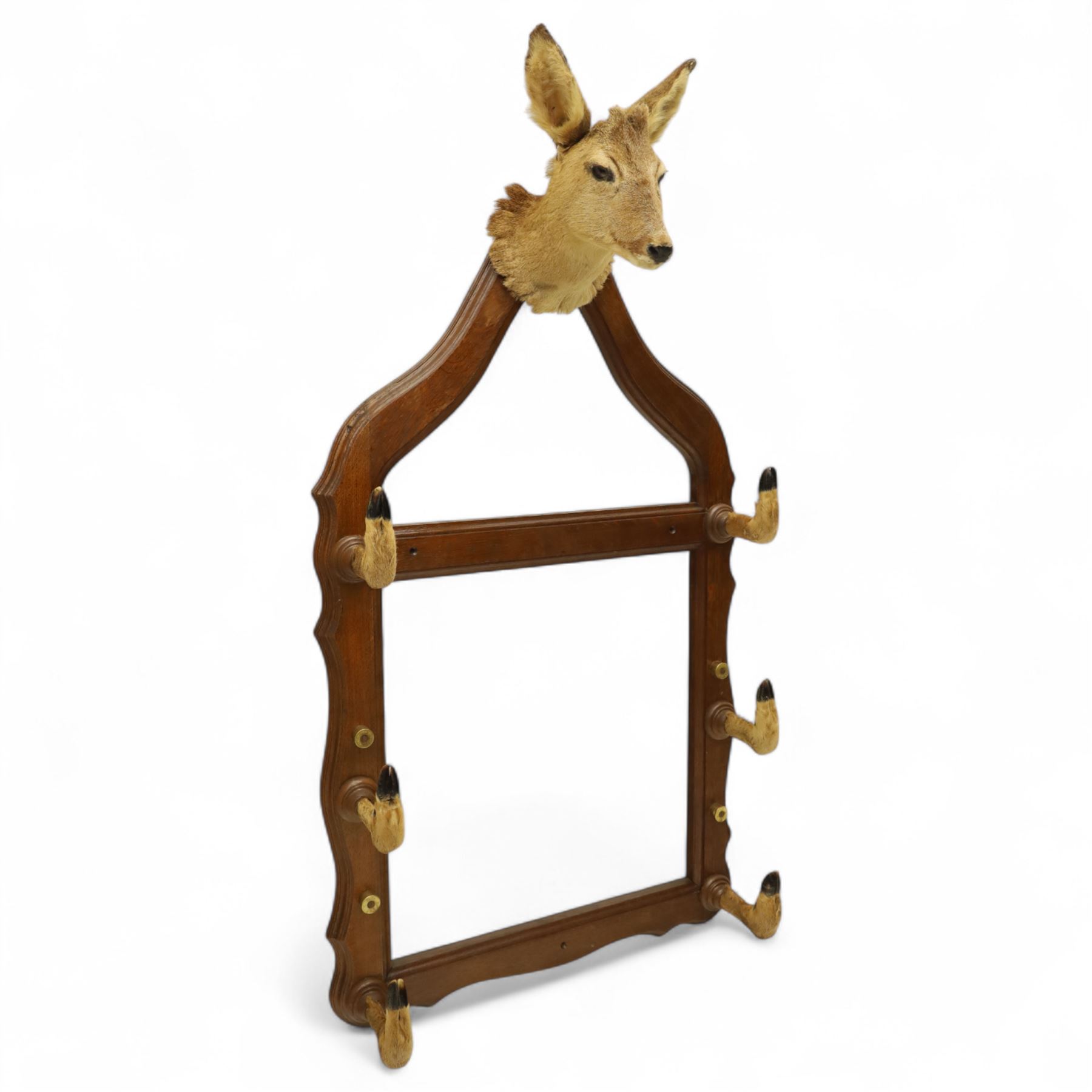 Early 20th-century taxidermy decorated wall-mounted gun rack, shaped oak frame fitted with used shotgun cases and mounted with hooves designed to hold shotguns horizontally, surmounted with a taxidermy deer head 