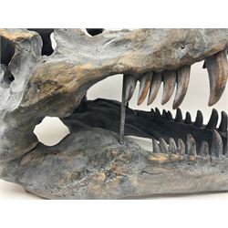 Composite model of a T-Rex dinosaur Skull, L50cms, H36cm 