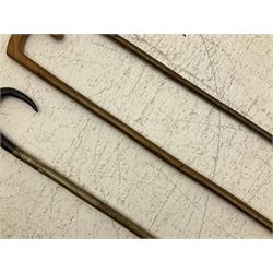 Two smooth polished ram horn handled Shepherd's crooks and a further similar example, together with various shooting sticks, walking sticks and canes, housed in a volcanic lava glaze West German style vase