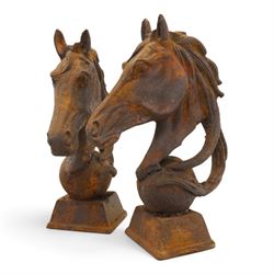 Pair of antique cast iron garden finials or statues of horse heads or busts, the heads with flowing and pierced mane, mounted on spherical finials over square tapering bases