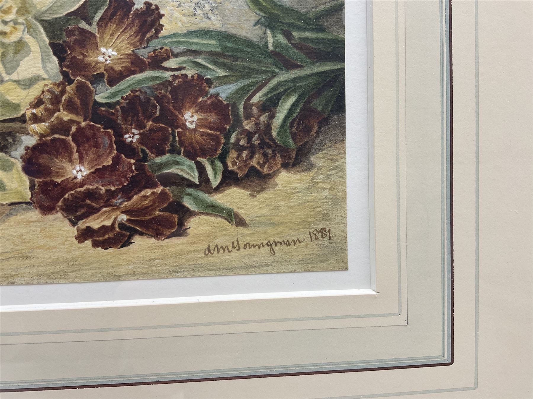 Annie Mary Youngman (British 1860-1919): Still Life with Forget-me-nots, watercolour signed twice and dated 1881, 14.5cm x 20cm