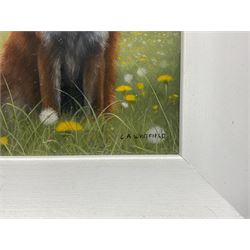 Carl Whitfield (British 1958-): 'Fox in Meadow', oil on board signed 14cm x 11.5cm
Provenance: with Lairgate Galleries, Beverley, original receipt verso