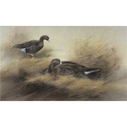 John Naylor (British 1960-): Two Ducks, pastel signed and dated '87, 26cm x 43cm 