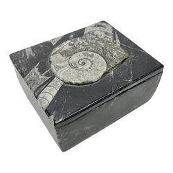 Square box with Orthoceras and Goniatite inclusions, the first with a raised Goniatite to the lid, age: Devonian period, location: Morocco