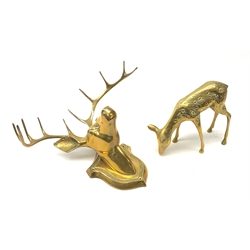 A brass wall mounted stags head, H29cm, together with a brass model of a fawn, H17cm. 