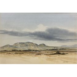 Richard Alexander Rennie (South African 1932-): Landscape with Distant Mountain, watercolour signed 45cm x 67cm