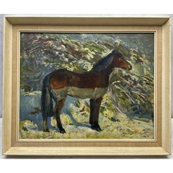 Thomas Sherwood La Fontaine (British 1915-2007): Exmoor Pony in the Snow, oil on canvas signed 39cm x 49cm