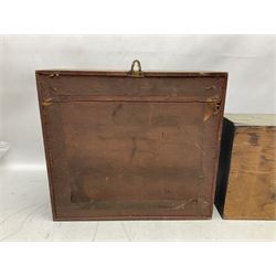 Taxidermy: Red Squirrels (Sciurus vulgaris), full adult mount, climbing a small cut tree stump, in a naturalistic setting, encased within a single pane display case, together with cased Ermine ((Mustela erminea), full adult mount, in a ebonised single pane display case, squirrel case, H35cm, L38cm