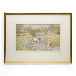 Richard Henry Brock (British 1871-1943): Cows Watering in a River, watercolour signed and dated 1906, 25cm x 42cm