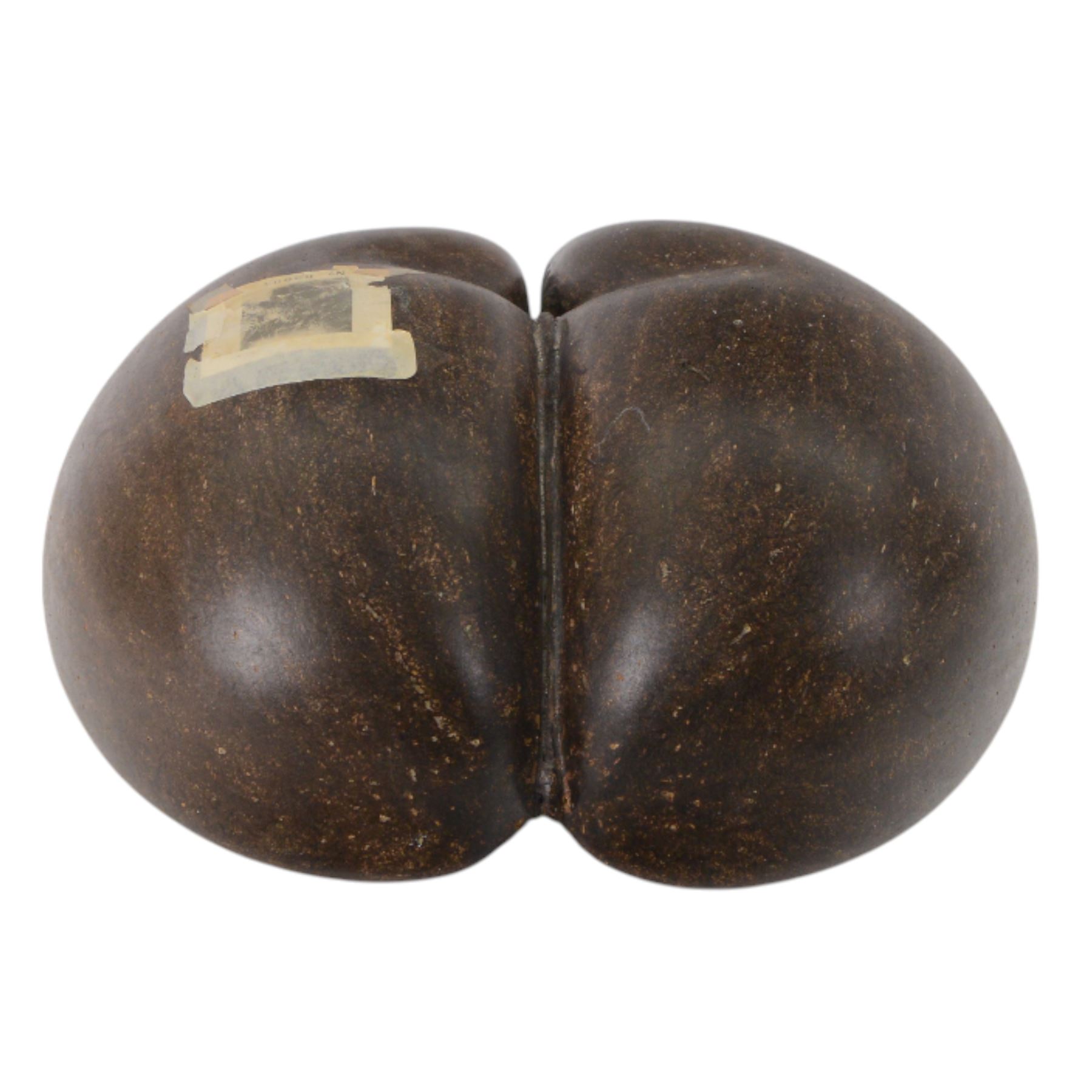 Coco De Mer (Lodoicea Maldivica) with license label, 1960/1970, Lodoicea, commonly known as the sea coconut, coco de mer, or double coconut, a seed of the palm family, from the islands of Praslin and Curieuse in the Seychelles