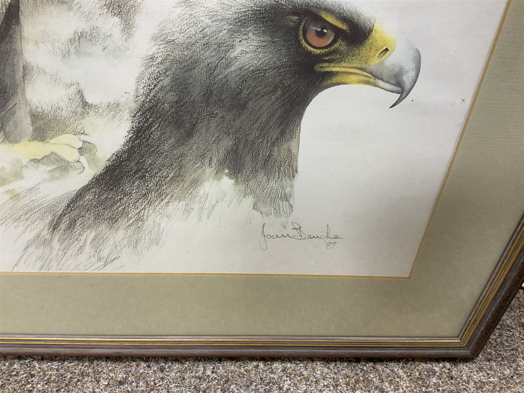 After Joan Beuche (South African 20th century) Eagles, set of six coloured prints (6)