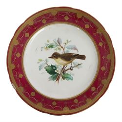 19th century Minton dessert plates, five decorated with a central ornithological study and four decorated with butterflied, each with within a red  and gilt board