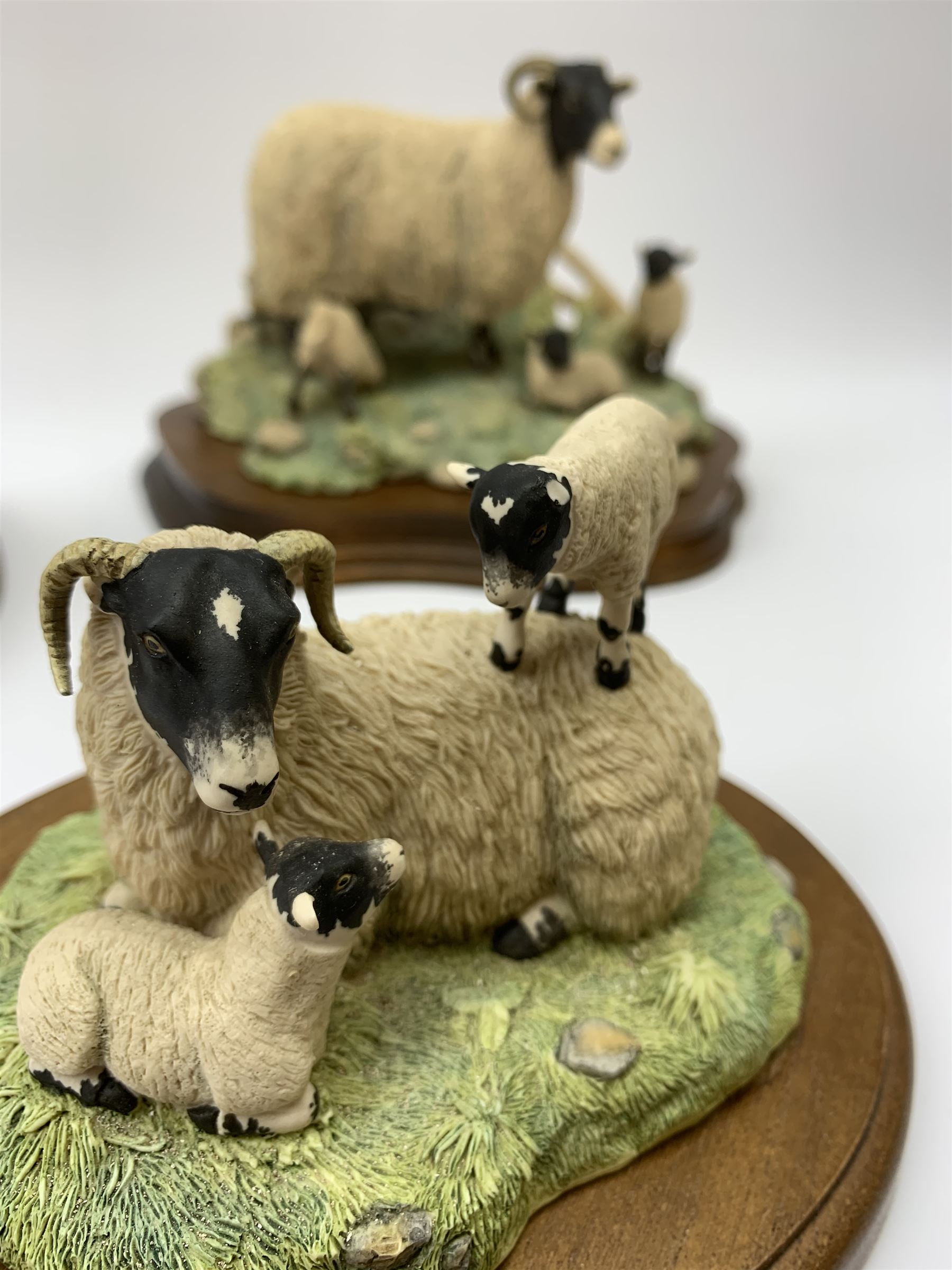 Three Border Fine Arts models, Spring Lambing, model no JH6, by Ray Ayres, King of the Castle, model no JH37, by David Walton, and Reaching for the high bird, with black Labradors, by Ray Ayres, each upon wooden base