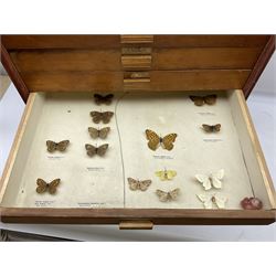 Entomology: collector's table top cabinet of assorted butterfly and moth specimens, to include Pieridae, Agrotidae, Arctiidae, Westermanniinae, Nymphalidae, Satyridae, Nymphalidae, Lycaenidae, Lasiocampidae, Silver-washed Fritillary (Argynnis paphia), etc, with twelve sliding drawers with various labels, H65cm D32.5cm W47cm