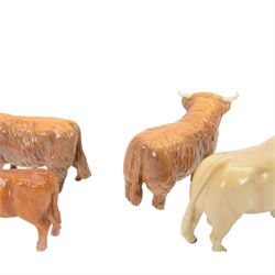 Beswick Highland Cattle family group, comprising bull, cow and calf, together with Charolais bull