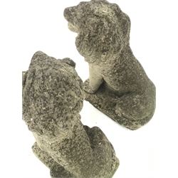 Pair weathered composite stone seated lions H65cm