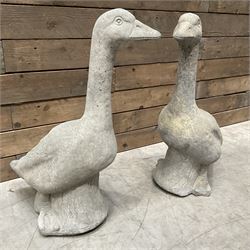 Pair of cast stone garden geese