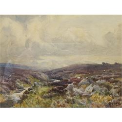 Albert George Stevens (Staithes Group 1863-1925): Sheep on a Heather Moorland, watercolour signed 17cm x 22cm