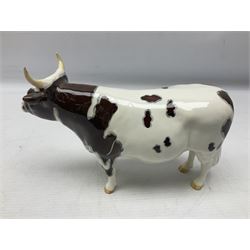 Five Beswick figures of cattle Comprising Ayrshire Bull Ch Whitehill Mandate, no 1454B, three Ayrshire Cow Ch Ickham Bessie, no 1350 and Ayrshire Calf, no 1249B, all with printed marks beneath
