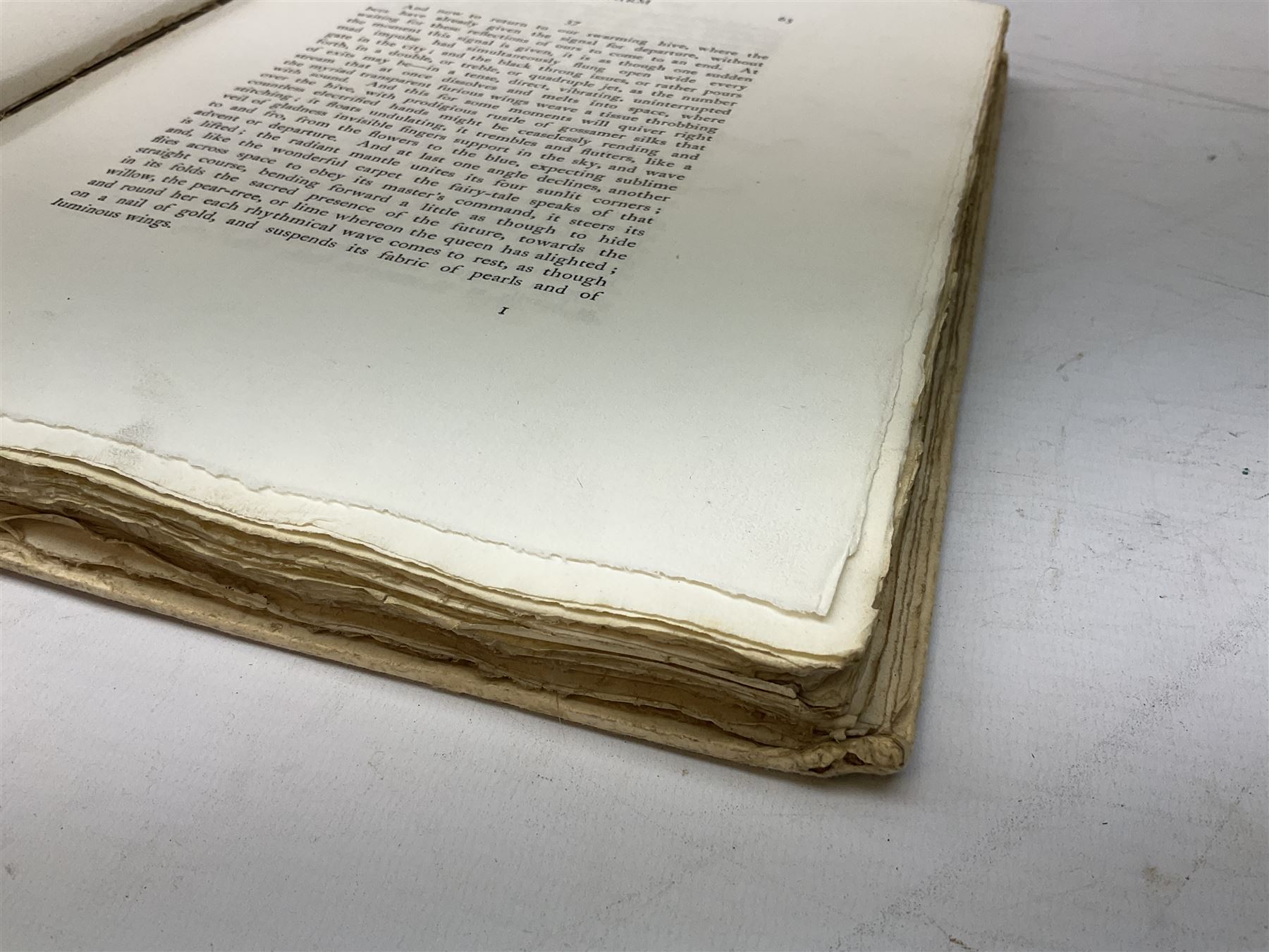 Maurice Maeterlinck: 'The Life of the Bee', illustrated E.J. Detmold, 13 mounted coloured plates, pub. Geo. Allen & Co. Ltd. London, 1911,