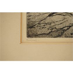 Philip Leslie Moffat Ward (British 1888-1978): 'The Langdales from Tarn Hows', monochrome etching signed titled and dated '54 in pencil 27.5cm x 35cm