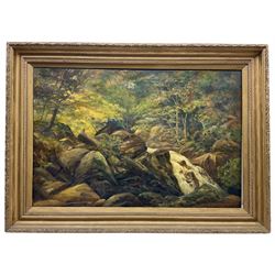 Charles Hawkesworth (Sheffield 1861-1943): Forest Stream, oil on canvas signed verso 50cm x 75cm
