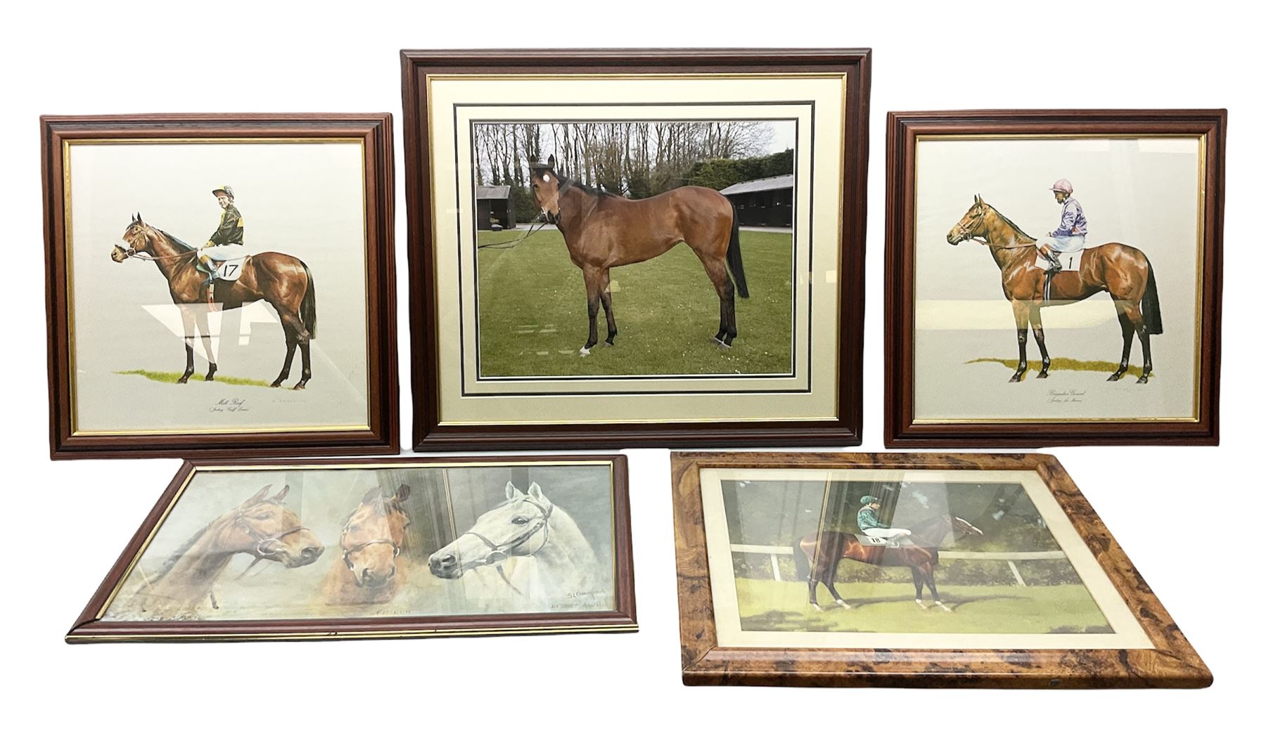 After G Keane (British 20th century): 'Mill Reef' and 'Brigadier Gerard', pair colour prints together with three further prints of Race Horses (5)