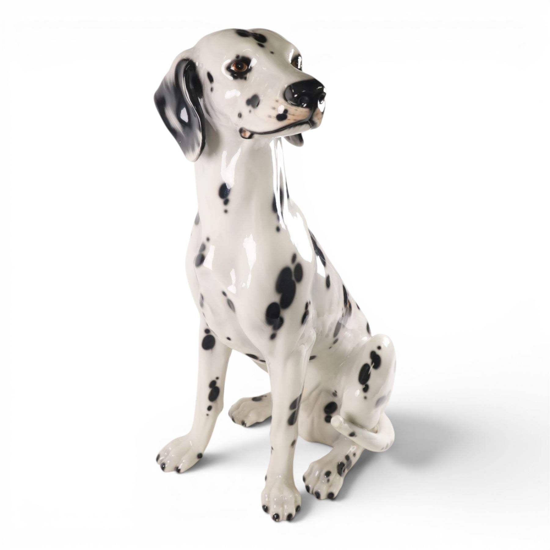 Life-sized model of a seated Dalmatian, H80cm