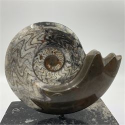 Goninite sculpture, poslised goninite, mounted upon a rectangular marble base with with orthoceras and goniatite inclusions, age: Devonian period, location: Morocco, H20cm