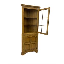 Traditional light oak corner cabinet, projecting cornice, dentil frieze, single glazed door above single fielded door