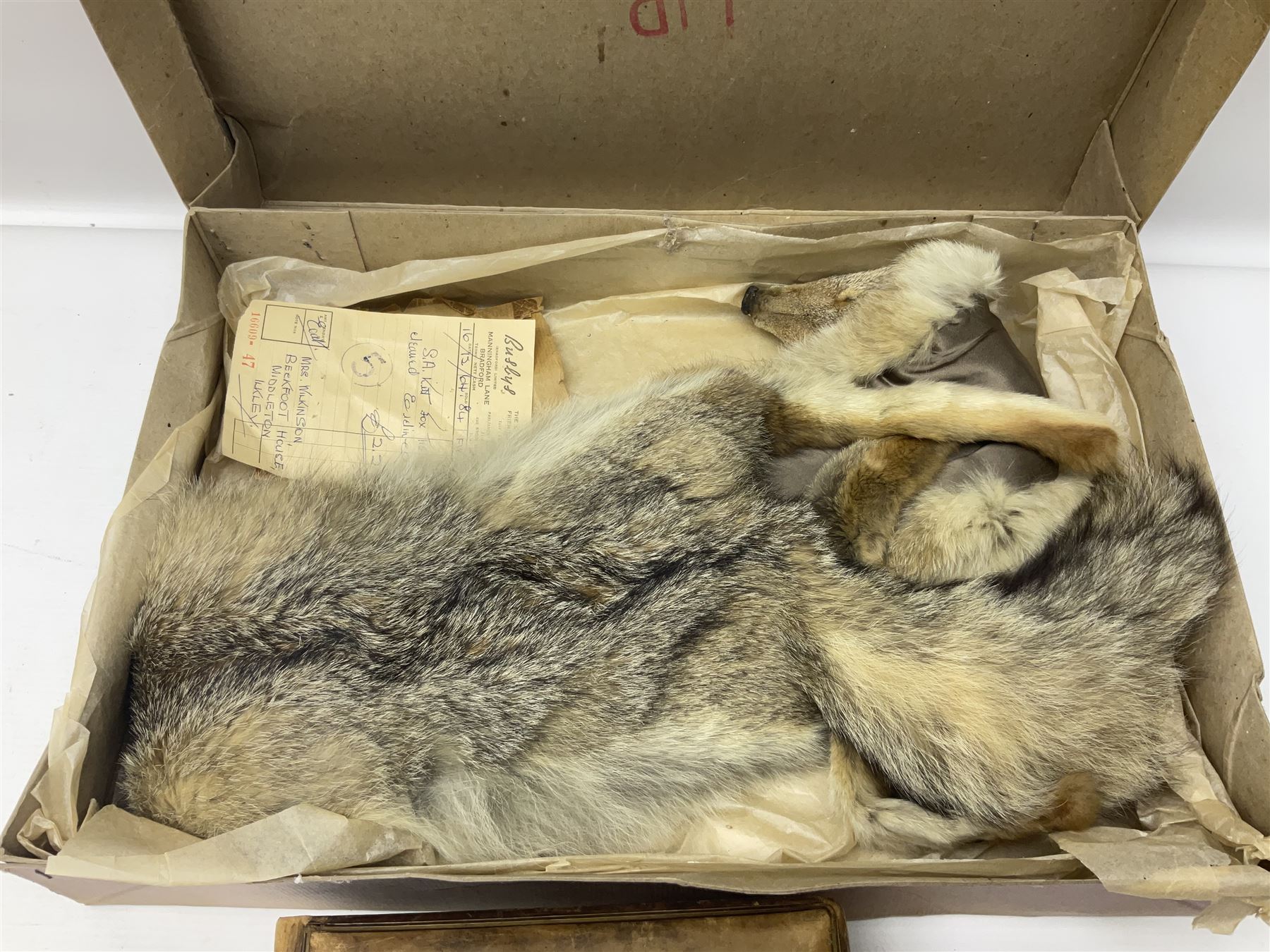 White Ostrich feather fan, together with ceramic head, leather bound photo book, Wedgwood chamber pot and other collectables 