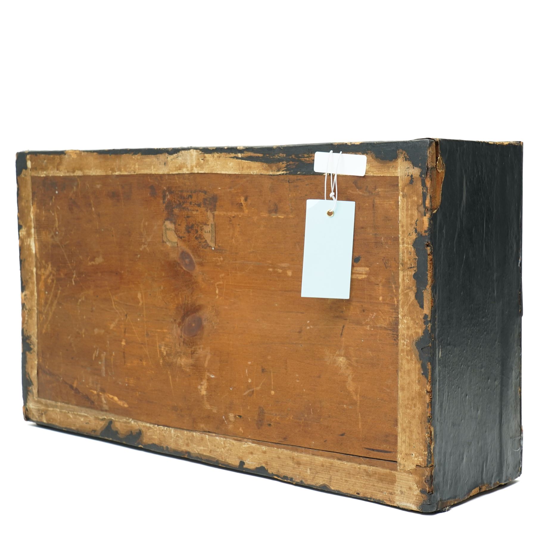 Taxidermy - Three woodcock (Scolopax rusticola), modelled in a naturalistic setting, in painted wooden case, case H31cm W54cm D16cm